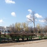 Astrakhan city Kamyzyak