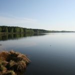 White Lake, Ryazan region, Northern. Where is it located, sanatoriums, recreation, fishing, diving 