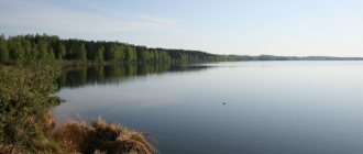 Белое озеро Рязанская область, Северное. Где находится, санатории, отдых, рыбалка, дайвинг