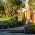 Photo of the arboretum in Sochi