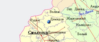 Map of the surroundings of the city of Demidov from NaKarte.RU