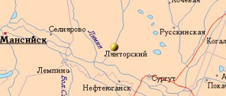 Map of the surrounding area of ​​the city of Lyantor from NaKarte.RU