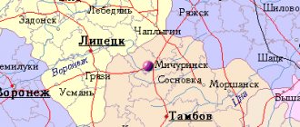 Map of the surroundings of the city of Michurinsk from NaKarte.RU