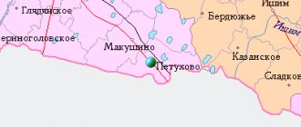 Карта окрестностей города Петухово от НаКарте.RU