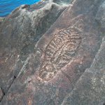 Petroglyphs of Sikachi-Alyan