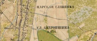 Plan of the Tsarskaya Slavyanka estate. 1885 