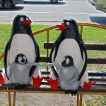 Семья пингвинов, Кемерово