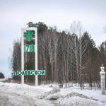 Stele at the entrance to Polevskoy